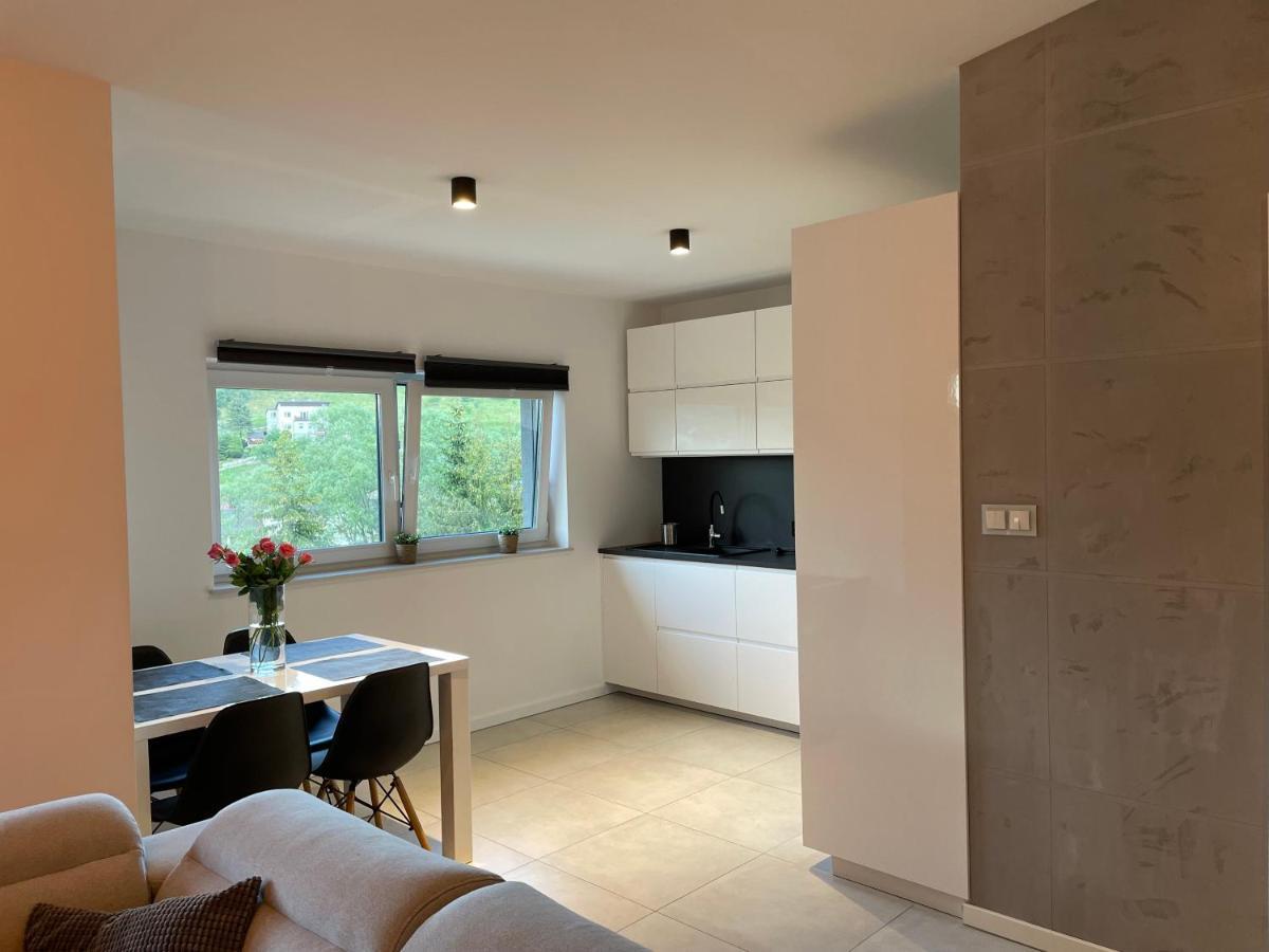 Apartament Z Klimatem II Wisła Eksteriør billede